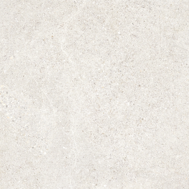 60LS11 (출시예정)